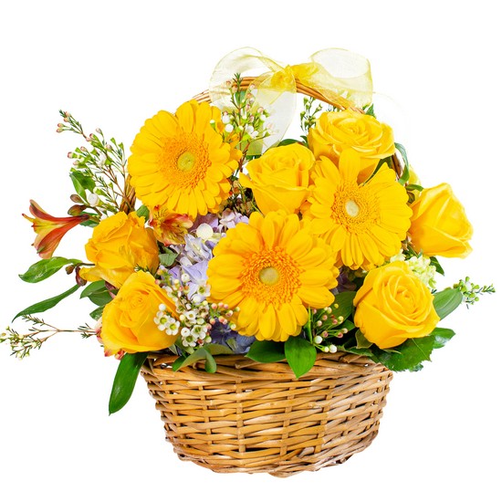 Basket Full of Sunshine from Joseph Genuardi Florist in Norristown, PA