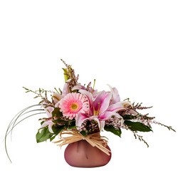 Star Struck from Joseph Genuardi Florist in Norristown, PA