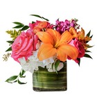 Honey Bee from Joseph Genuardi Florist in Norristown, PA