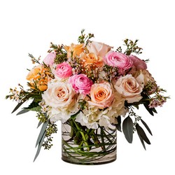 Mabeline from Joseph Genuardi Florist in Norristown, PA