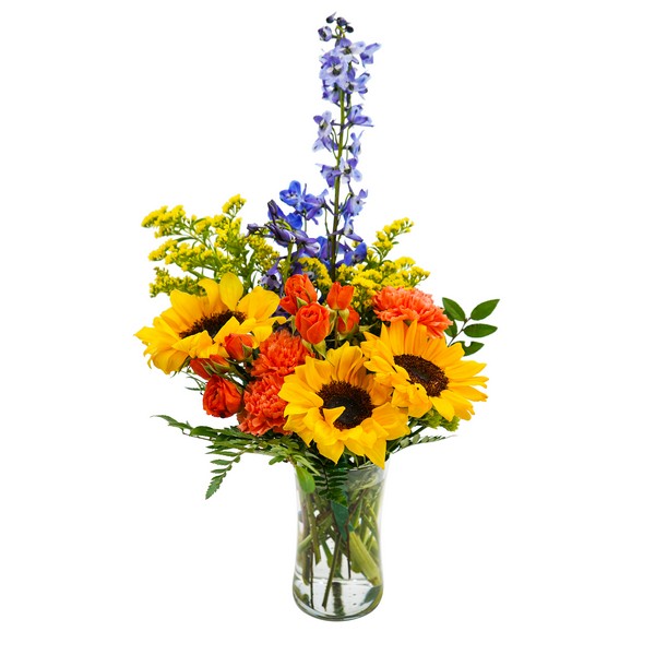 Rosey Disposition from Joseph Genuardi Florist in Norristown, PA