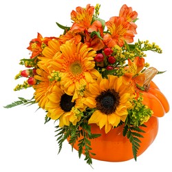 Pumpkin  Daze from Joseph Genuardi Florist in Norristown, PA