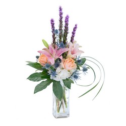 Frosted Sorbet from Joseph Genuardi Florist in Norristown, PA
