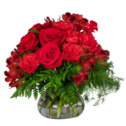Ruby Red Romance from Joseph Genuardi Florist in Norristown, PA