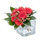 Modern Six from Joseph Genuardi Florist in Norristown, PA