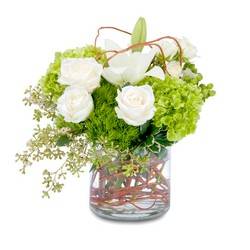 Simply Styled from Joseph Genuardi Florist in Norristown, PA