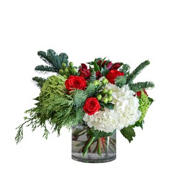 Cindy Lou from Joseph Genuardi Florist in Norristown, PA
