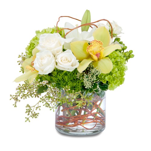 Renewed Promise from Joseph Genuardi Florist in Norristown, PA