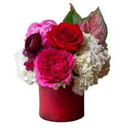 Darling from Joseph Genuardi Florist in Norristown, PA
