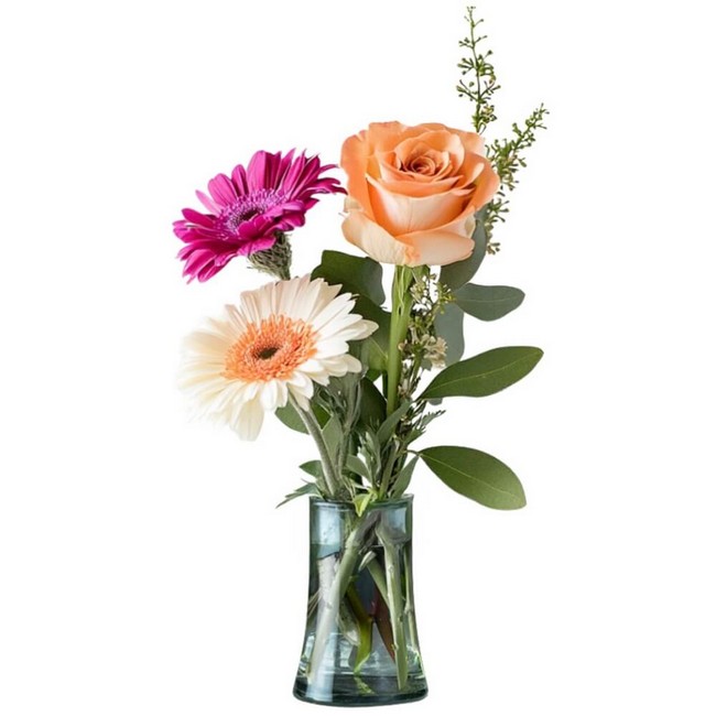 Graceful Blooms from Joseph Genuardi Florist in Norristown, PA