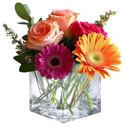 Sunshine Melody from Joseph Genuardi Florist in Norristown, PA