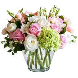 Serene Delight from Joseph Genuardi Florist in Norristown, PA