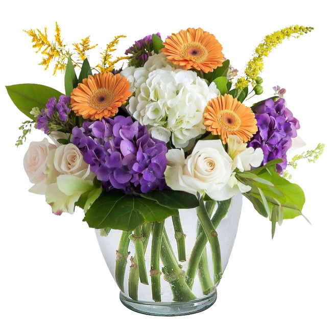 Sunlit Elegance from Joseph Genuardi Florist in Norristown, PA