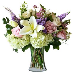 Radiant Blossoms from Joseph Genuardi Florist in Norristown, PA