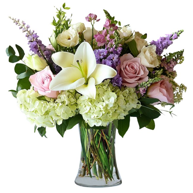 Radiant Blossoms from Joseph Genuardi Florist in Norristown, PA