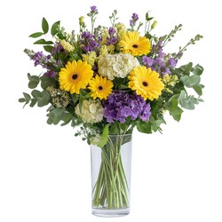 Radiant Garden from Joseph Genuardi Florist in Norristown, PA
