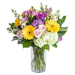 Garden of Gratitude from Joseph Genuardi Florist in Norristown, PA