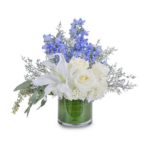 Calm and Cool from Joseph Genuardi Florist in Norristown, PA