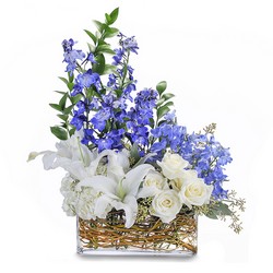 Majestic Blue from Joseph Genuardi Florist in Norristown, PA