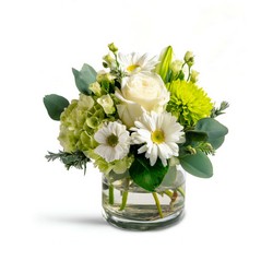 Leprechaun's Charm from Joseph Genuardi Florist in Norristown, PA