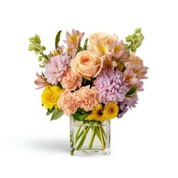 Spring Haze from Joseph Genuardi Florist in Norristown, PA