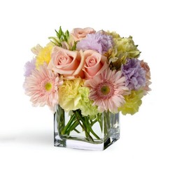 Sunrise Sway from Joseph Genuardi Florist in Norristown, PA