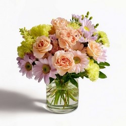 Clementine from Joseph Genuardi Florist in Norristown, PA