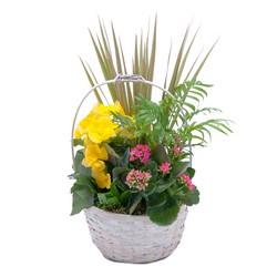 Bloomin' Sunshine Days Basket from Joseph Genuardi Florist in Norristown, PA