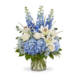 Azure Dreams from Joseph Genuardi Florist in Norristown, PA