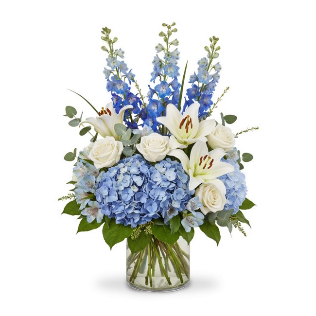 Azure Dreams from Joseph Genuardi Florist in Norristown, PA