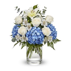 Heavenly Blue Blessing from Joseph Genuardi Florist in Norristown, PA