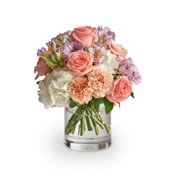 Blush & Bloom from Joseph Genuardi Florist in Norristown, PA