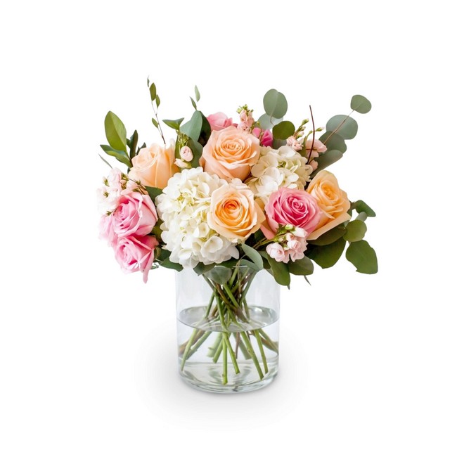 Dusty Delight from Joseph Genuardi Florist in Norristown, PA