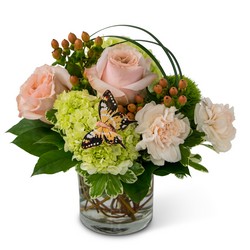 Song of Gratitude from Joseph Genuardi Florist in Norristown, PA