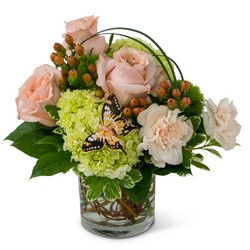 Expressions of Gratitude from Joseph Genuardi Florist in Norristown, PA