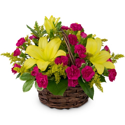 Sweet as Summer from Joseph Genuardi Florist in Norristown, PA