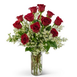 Swoon Over Me Dozen Red Roses from Joseph Genuardi Florist in Norristown, PA
