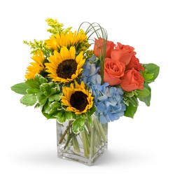 Fun in the Sun from Joseph Genuardi Florist in Norristown, PA