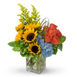 Fun in the Sun from Joseph Genuardi Florist in Norristown, PA