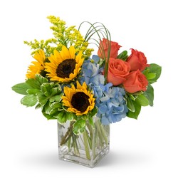 Summer Fun from Joseph Genuardi Florist in Norristown, PA