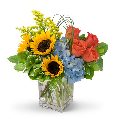 Summer Fun from Joseph Genuardi Florist in Norristown, PA