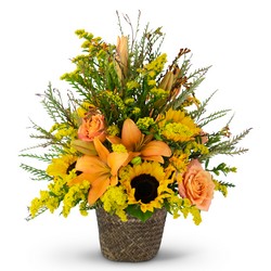 Fall Harvest Basket from Joseph Genuardi Florist in Norristown, PA