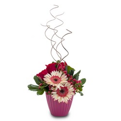 Abby Road from Joseph Genuardi Florist in Norristown, PA