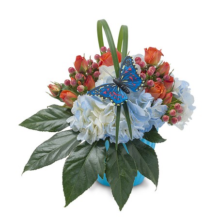 Berries in Blue from Joseph Genuardi Florist in Norristown, PA