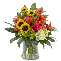 Harvest Sun from Joseph Genuardi Florist in Norristown, PA