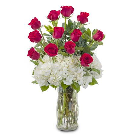 Impress Her from Joseph Genuardi Florist in Norristown, PA