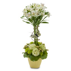 Izzy Belle from Joseph Genuardi Florist in Norristown, PA