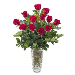 Premium Romance from Joseph Genuardi Florist in Norristown, PA