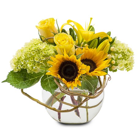 Rays of Sunshine from Joseph Genuardi Florist in Norristown, PA