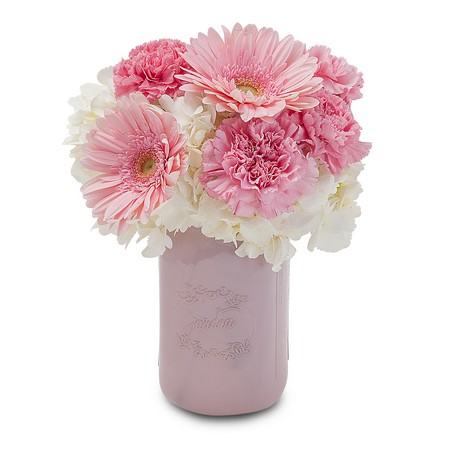 Simple Blush from Joseph Genuardi Florist in Norristown, PA